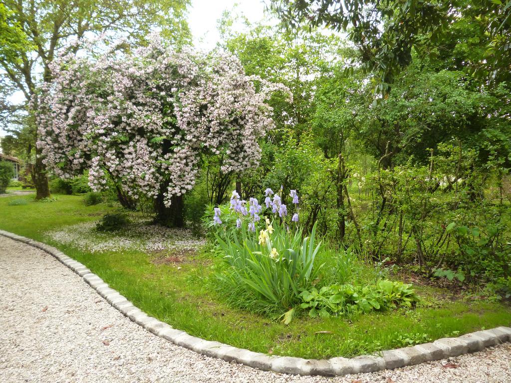 Le Gite De Laurence Villa Sainte-Liviere Esterno foto